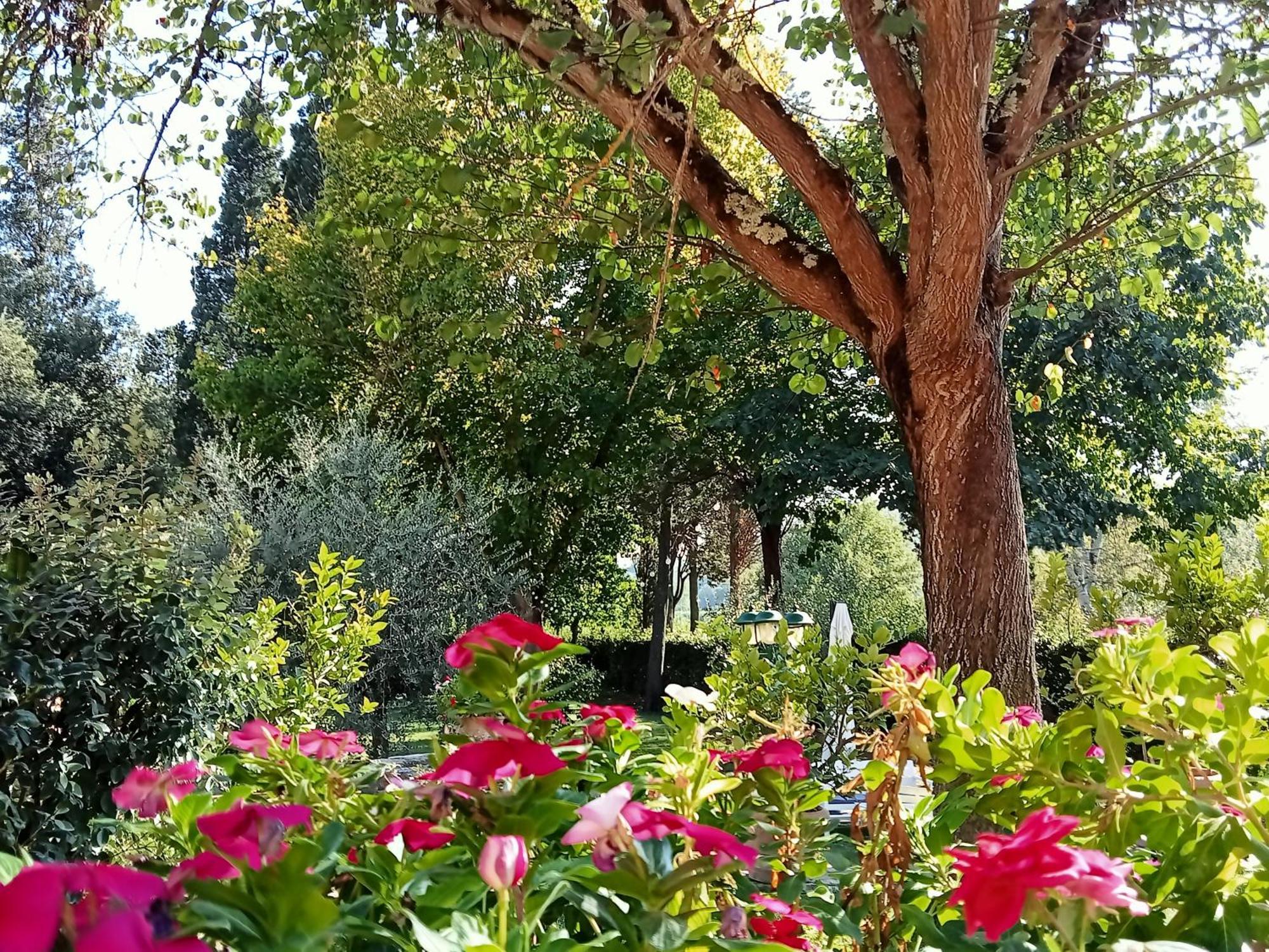 B&B Podere Di Sotto Montelupo Fiorentino Extérieur photo